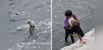 Joven arriesga su vida y salva a perrito que cayó al río Rímac: "Lo vi y solo pensé en rescatarlo" Joven arriesga su vida y salva a perrito que cayó al río Rímac: "Lo vi y solo pensé en rescatarlo"