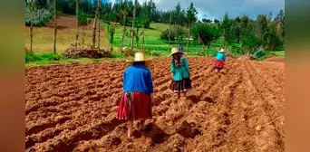 Gobierno aprueba endeudamiento externo por US$26 millones con el FIDA para financiar el proyecto Mercagro: ¿qué implica? Gobierno aprueba endeudamiento externo por US$26 millones con el FIDA para financiar el proyecto Mercagro: ¿qué implica?
