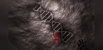 Científicos identifican un ADN antiguo compartido con los neandertales que podría explicar el lenguaje humano