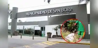 Condenan a exfuncionarios de la Municipalidad de San Borja por favorecer a empresa en licitación de limpieza Condenan a exfuncionarios de la Municipalidad de San Borja por favorecer a empresa en licitación de limpieza