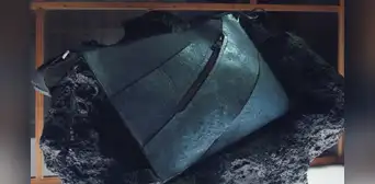 El bolso más raro del año, hecho con ADN de dinosaurio, que generó expectativa pero fracasó en su subasta: cuesta más de 300.000 euros El bolso más raro del año, hecho con ADN de dinosaurio, que generó expectativa pero fracasó en su subasta: cuesta más de 300.000 euros