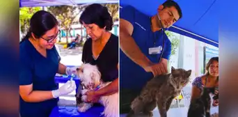 ¿Tienes mascota? Este distrito de Lima Metropolitana ofrecerá atención veterinaria gratuita este domingo 14 de junio ¿Tienes mascota? Este distrito de Lima Metropolitana ofrecerá atención veterinaria gratuita este domingo 14 de junio