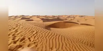 Arabia Saudita compra toneladas arena a pesar de tener un gran desierto: sus vastas dunas son inservibles para fabricar hormigón Arabia Saudita compra toneladas arena a pesar de tener un gran desierto: sus vastas dunas son inservibles para fabricar hormigón