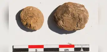 Arqueólogos desentierran unas raras papas deshidratadas de 500 años de antigüedad en un yacimiento inca costero