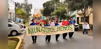 "Les están quitando la vida": Vecinos marchan en defensa del Campo de Marte y denuncian daños a más de 20 árboles "Les están quitando la vida": Vecinos marchan en defensa del Campo de Marte y denuncian daños a más de 20 árboles