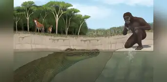 El cazador de Lucy fue revelado por los científicos: un cocodrilo gigante aterrorizó a los primeros ancestros humanos