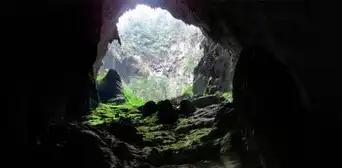 La cueva más grande del mundo esconde fósiles prehistóricos, ríos subterráneos y una selva donde cabe un rascacielos de 40 pisos