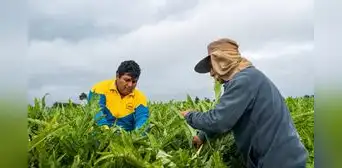 Agroexportación en Perú: agua, saneamiento y salud siguen siendo los principales desafíos del campo Agroexportación en Perú: agua, saneamiento y salud siguen siendo los principales desafíos del campo