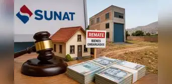 Sunat rematará 100 bienes embargados valorizados en más de S/37 millones: hay depósitos, casas y terrenos desde S/2.300, ¿cómo participar? Sunat rematará 100 bienes embargados valorizados en más de S/37 millones: hay depósitos, casas y terrenos desde S/2.300, ¿cómo participar?