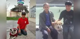 “No saben si va a sobrevivir”: egresado de San Marcos con discapacidad pide ayuda para su padre tras grave atropello en Lince “No saben si va a sobrevivir”: egresado de San Marcos con discapacidad pide ayuda para su padre tras grave atropello en Lince