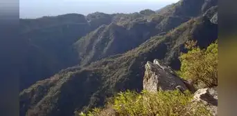 Científicos argentinos descubren una nueva especie de mamífero en el Parque Nacional Traslasierra: vive entre las rocas y se alimenta de plantas