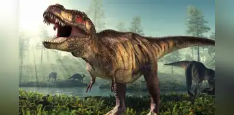 Los científicos descubren que el Tiranosaurio rex tardaba 40 años en alcanzar su tamaño adulto Los científicos descubren que el Tiranosaurio rex tardaba 40 años en alcanzar su tamaño adulto