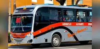 Ruta 1180 cambia de identificación desde julio: así reconocerás los buses de Nueva América para su servicio entre Carabayllo y SJM Ruta 1180 cambia de identificación desde julio: así reconocerás los buses de Nueva América para su servicio entre Carabayllo y SJM