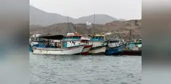 En Pucusana, pescadores artesanales acusan competencia desleal y depredación de flotas industriales