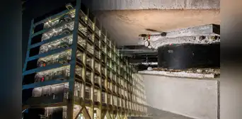 Así funciona la tecnología que protege a los edificios de los terremotos en América Latina y el mundo para evitar que colapsen