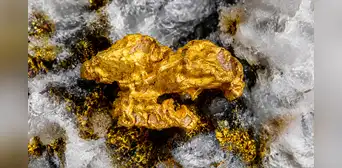 Los científicos no lo creen posible: los terremotos podrían estar creando pepitas de oro en vetas de cuarzo Los científicos no lo creen posible: los terremotos podrían estar creando pepitas de oro en vetas de cuarzo