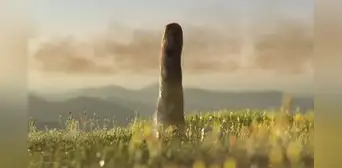 Medía 8 metros y no era animal ni vegetal: descubren un organismo de 420 millones de años que no pertenece a ningun reino conocido