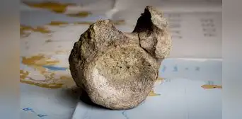 Científicos confirman el primer hueso fósil de dinosaurio descubierto en la Antártida durante una expedición