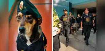 Despiden a Vaguito, perro rescatado que acompañó por años el trabajo de policías en Trujillo: "Hasta siempre, amigo fiel"