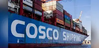 Megapuerto de Chancay: Cosco Shipping acudirá al TC tras revés judicial por supervisión de Ositrán