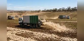 Australia comenzó a esparcir la lana de las ovejas en los campos de cultivo: científicos buscan combatir la sequía