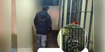 Agente del Inpe permitió ingreso de internos a celda en la que torturaron a recluso Agente del Inpe permitió ingreso de internos a celda en la que torturaron a recluso