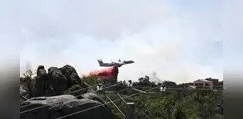 Incendios forestales arrasan más de 17.000 hectáreas en Europa mientras ola de calor amenaza a Francia, España y Portugal