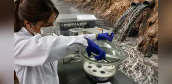 Estudiante peruana logra convertir restos de algodón y palta en ‘esponjas inteligentes’ para descontaminar aguas con plomo: eliminan hasta el 99% del metal pesado
