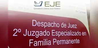 Segundo Juzgado de Familia de Tumbes resuelve proceso de tenencia en solo tres días