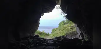 El descubrimiento de lobos de 5.000 años de antigüedad en una isla remota desafía lo que sabemos sobre la domesticación El descubrimiento de lobos de 5.000 años de antigüedad en una isla remota desafía lo que sabemos sobre la domesticación