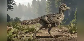 China descubre el ‘eslabón perdido’ de las aves: un fósil revela cómo perdieron sus colas de dinosaurio China descubre el ‘eslabón perdido’ de las aves: un fósil revela cómo perdieron sus colas de dinosaurio