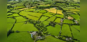 El hallazgo arqueológico de la Edad del Bronce que reescribe el origen urbano de Europa: surgió en Irlanda hace más de 3.000 años