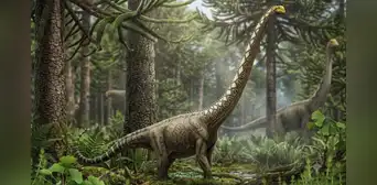 Paleontólogos identifican una nueva especie de dinosaurio gigante gracias a un pequeño hueso