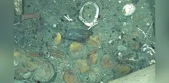 Descubierto a 600 metros de profundidad en el Caribe: un naufragio con 200 toneladas de oro y plata valorado en US$ 17.000 millones