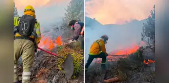 Capturan a presunto responsable del incendio en Sacsayhuamán: fuego consumió tres hectáreas de cultivos de café y cacao en Cusco