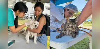 Campaña veterinaria gratuita este 16 de julio en Cercado de Lima: consulta el horario y los servicios para mascotas