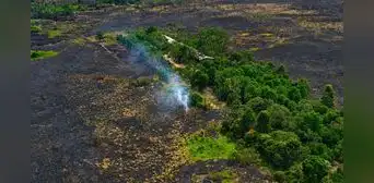 Amazonía en alerta por fenómeno de El Niño: estudio advierte mayor riesgo de incendios forestales