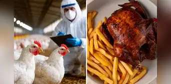 ¿El Día del Pollo a la Brasa está en riesgo por gripe aviar? Infectólogo aclara si es seguro consumirlo tras la alerta de Senasa