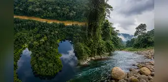 Este parque nacional protege más de 600 especies de aves y un ecosistema que no existe en otro lugar del Perú