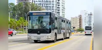 ¿Cómo llegar a la FIL Lima 2026? ATU detalla los buses, corredores y conexiones de transporte público