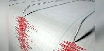 ¿Qué es un enjambre sísmico y por qué el terremoto de 7,4 en Chiapas mantiene en alerta a los investigadores? ¿Qué es un enjambre sísmico y por qué el terremoto de 7,4 en Chiapas mantiene en alerta a los investigadores?