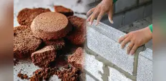 Los residuos de café son un tesoro: descubren un uso innovador que cambiaría la industria de la construcción Los residuos de café son un tesoro: descubren un uso innovador que cambiaría la industria de la construcción
