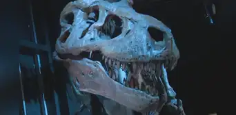 Los restos del cráneo de un dinosaurio descubierto en Canadá pertenecían al “tío abuelo” de un T. rex
