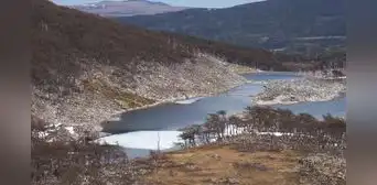 El experimento que salió mal en Argentina: liberaron este animal y ahora destruye los bosques milenarios de la Patagonia El experimento que salió mal en Argentina: liberaron este animal y ahora destruye los bosques milenarios de la Patagonia