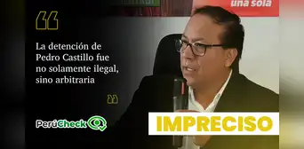 ¿La ONU declaró "arbitraria e ilegal" la detención de Pedro Castillo y exigió su liberación inmediata? ¿La ONU declaró "arbitraria e ilegal" la detención de Pedro Castillo y exigió su liberación inmediata?