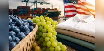 Arándanos, uvas y polos de algodón: los productos peruanos más afectados por el arancel de 12,5% de EE. UU.
