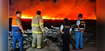 Emergencia en Áncash: incendio forestal consume más de 10 hectáreas de humedales en Nuevo Chimbote