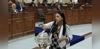 Un tránsfuga rompió el bloque de oposición en la elección en el Senado Un tránsfuga rompió el bloque de oposición en la elección en el Senado