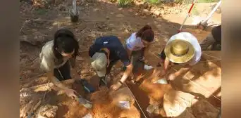 Hallan en España un fósil humano de más de 200.000 años que revela una evolución más compleja de lo esperado