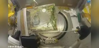 China cosecha las primeras muestras de arroz de su nuevo experimento de agricultura espacial China cosecha las primeras muestras de arroz de su nuevo experimento de agricultura espacial